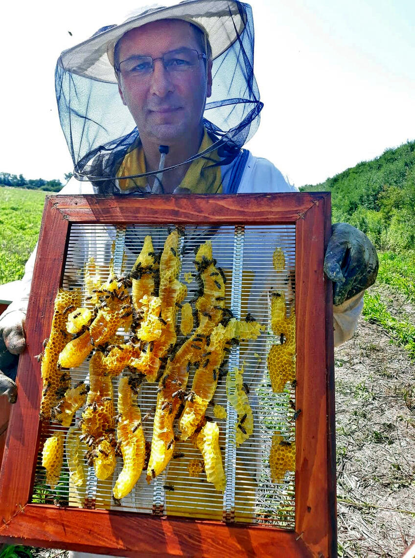 Obrovský úspech včelárov zo Zemplína: Máme najlepší med na svete!