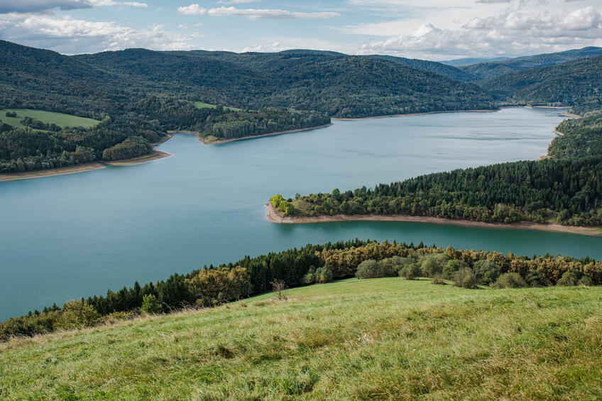 Výlet do divočiny národného parku na východe Slovenska: Zubry v srdci Polonín