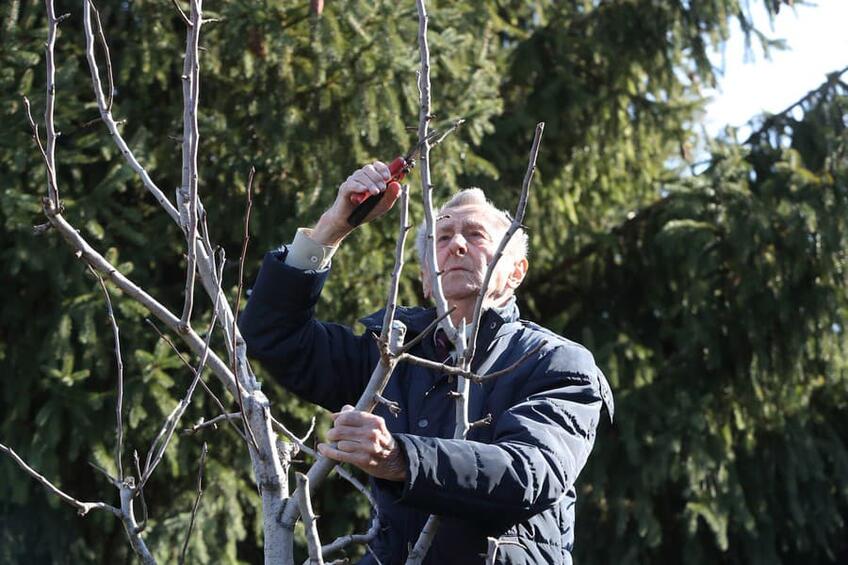 Slovensko prišlo o najslávnejšieho záhradníka Ivana Hričovského († 92): Zbohom, pán profesor!