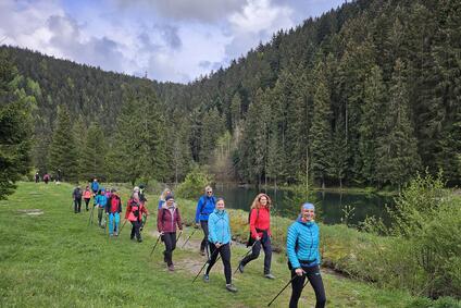 Chôdza so špeciálnymi palicami sa postará o vaše fyzické aj mentálne zdravie.