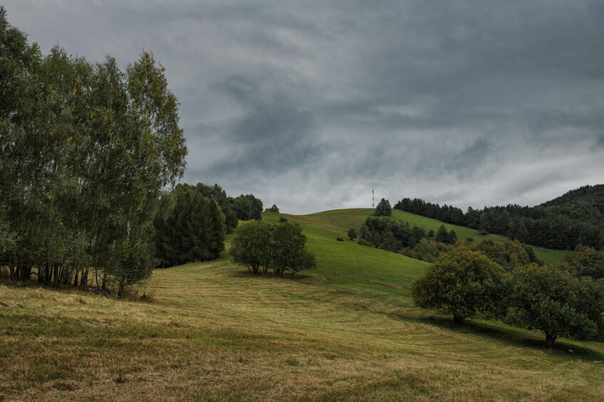 Výlet do divočiny národného parku na východe Slovenska: Zubry v srdci Polonín